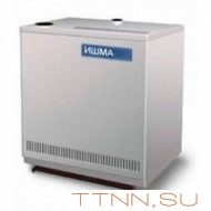 Газовый котел ИШМА-УЭ 80 САБК Боринский