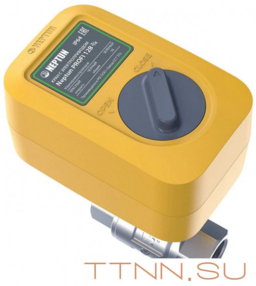 Кран с электроприводом Neptun PROFI 220В 1