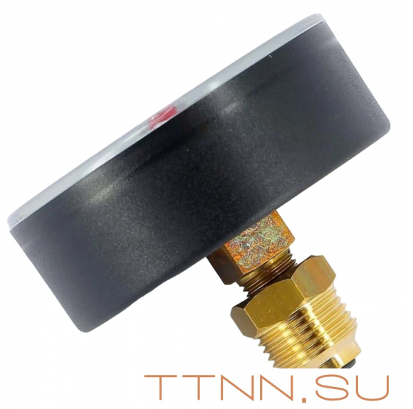 Термоманометр аксиальный Watts FR 818 (TMAX) 2,5 бар