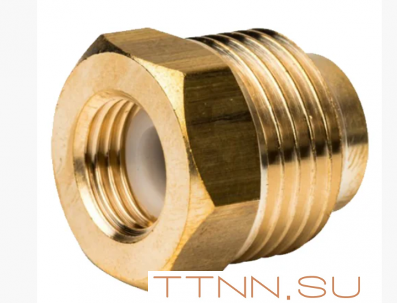 Термоманометр аксиальный Watts FR 818 (TMAX) 2,5 бар